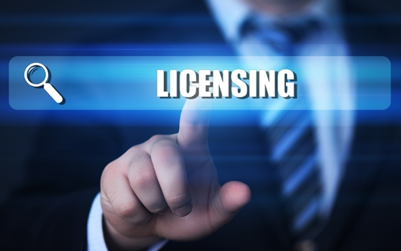 License Sales and License Maintenance Services